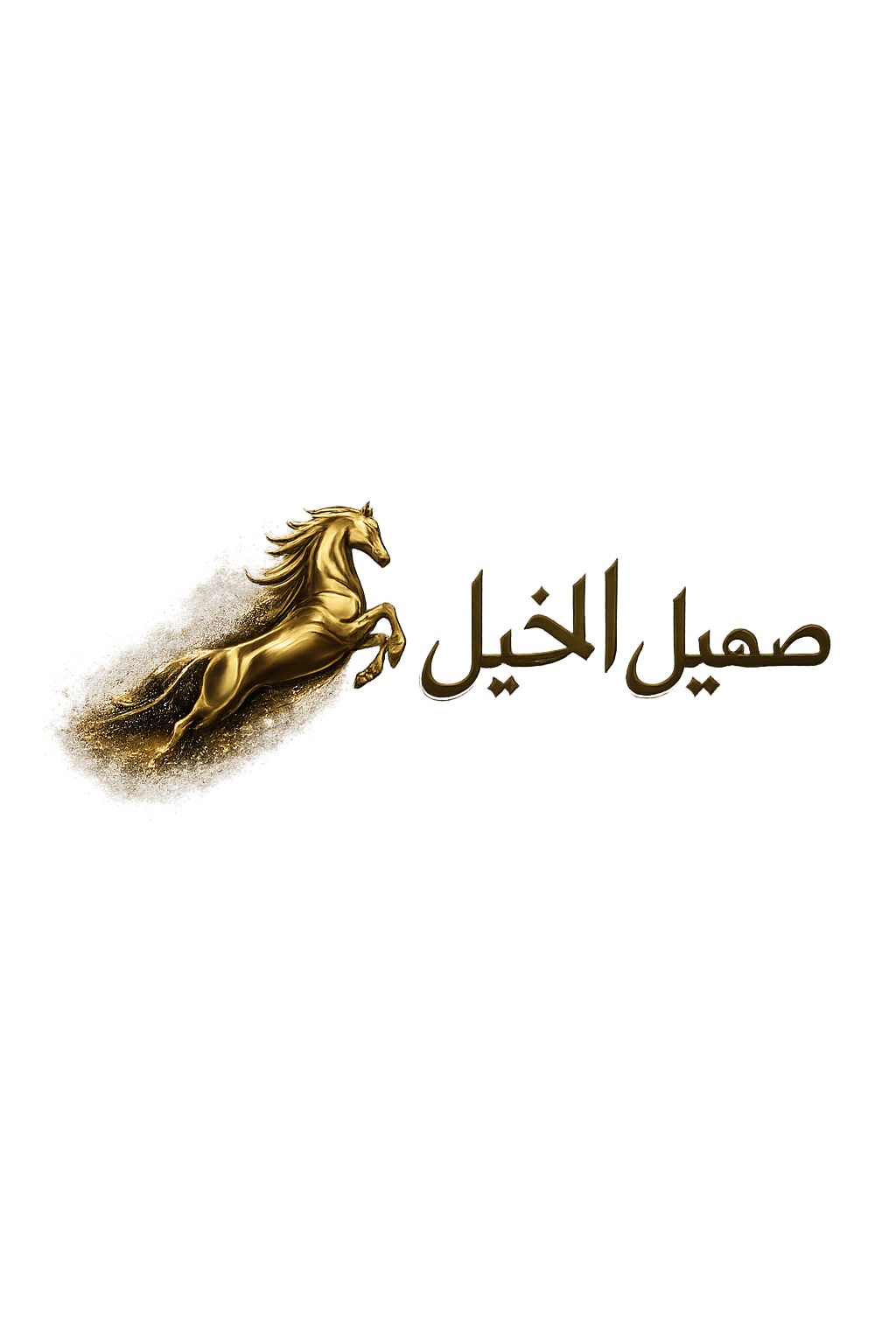 saheelalkhail.com